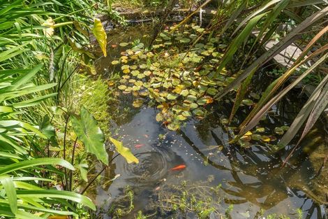 Photo of property in 7 Eton Drive, Hillcrest, Hamilton, 3216