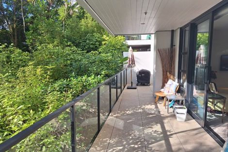 Photo of property in 209/8 Kingsland Terrace, Kingsland, Auckland, 1021