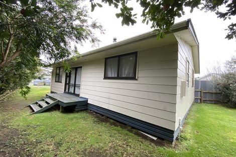Photo of property in 20 Hamua Place, Waitara, 4320