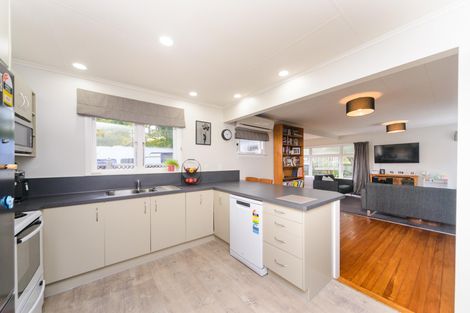 Photo of property in 118 Pahiatua Street, Hokowhitu, Palmerston North, 4410