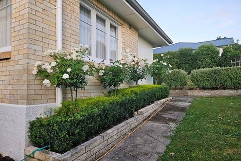 Photo of property in 38 Windsor Road, Maeroa, Hamilton, 3200