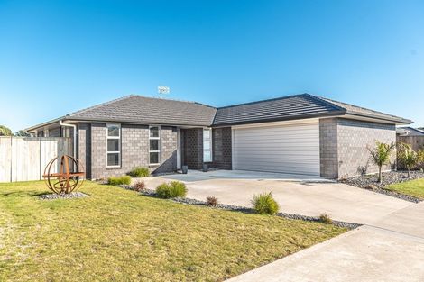 Photo of property in 55 Magnolia Crescent, Tawhero, Whanganui, 4501