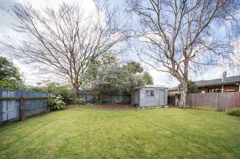 Photo of property in 193 Ferguson Street, West End, Palmerston North, 4412