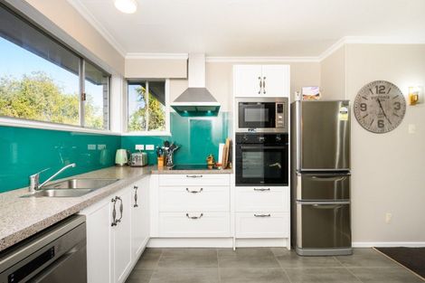 Photo of property in 113 Long Melford Road, Awapuni, Palmerston North, 4412