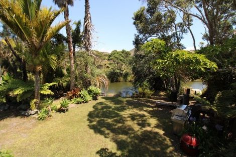 Photo of property in 20 Hilldale Crescent, Kuaotunu West, Whitianga, 3592