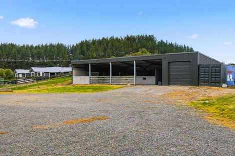 Photo of property in 184 Butcher Road, Reporoa, 3083