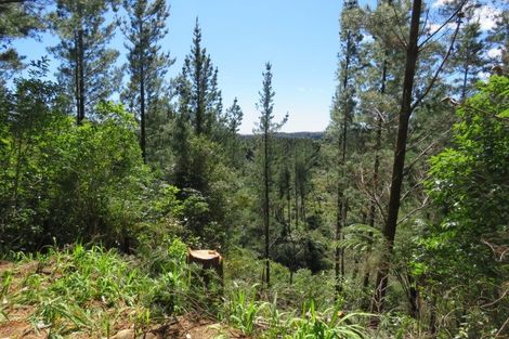 Photo of property in 197 Darkies Terrace Road, Charleston, Cape Foulwind, 7892