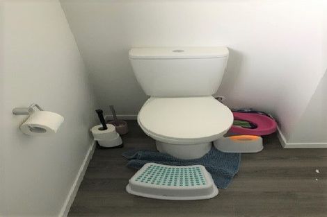 Photo of property in 4 Douglas Crescent, Fairfield, Hamilton, 3214