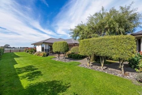 Photo of property in 72b Mclauchlan Street, Springlands, Blenheim, 7201