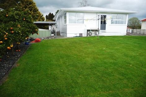 Photo of property in 21 Terrace Street, Putaruru, 3411