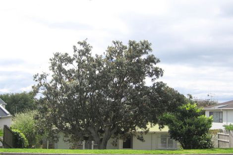 Photo of property in 137a Oceanview Road, Mount Maunganui, 3116