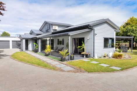 Photo of property in 19 Titoki Street, Matamata, 3400