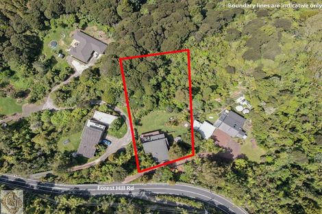 Photo of property in 300 Forest Hill Road, Waiatarua, Auckland, 0612