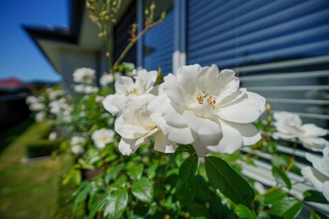 Photo of property in 21b Perth Street, Windsor, Invercargill, 9810