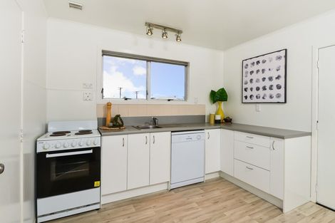 Photo of property in 58a Aurora Terrace, Hillcrest, Hamilton, 3216