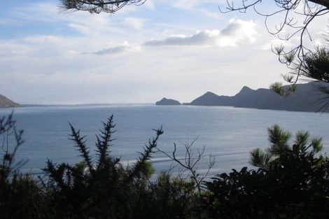 Photo of property in 95 Cornwallis Road, Cornwallis, Auckland, 0604