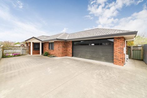 Photo of property in 157a Manchester Street, Feilding, 4702