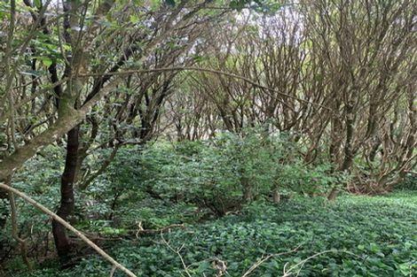 Photo of property in 27 Westhaven Drive, Tawa, Wellington, 5028