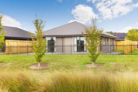 Photo of property in 29 Ellesmere Street, Marshland, Christchurch, 8083