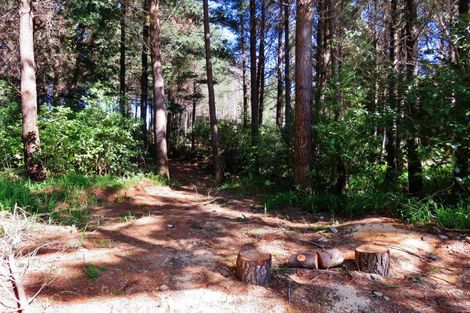 Photo of property in 197 Darkies Terrace Road, Charleston, Cape Foulwind, 7892