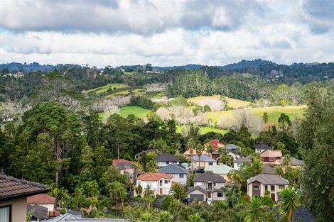 Photo of property in 23 Virginia Street, Henderson, Auckland, 0612