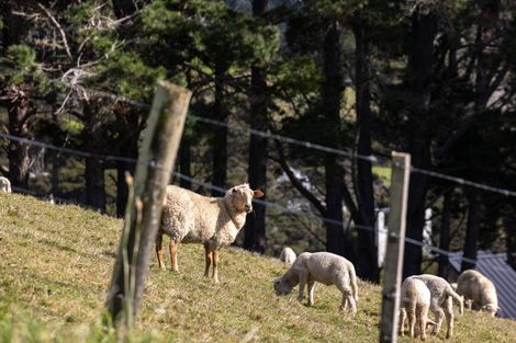 Photo of property in 45c Robinson Road, Coatesville, 0793