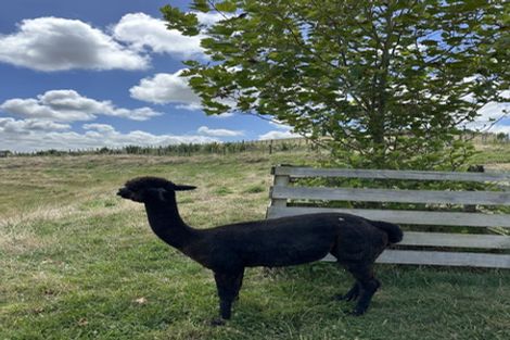 Photo of property in 992a Glen Murray Road, Rangiriri, Huntly, 3772