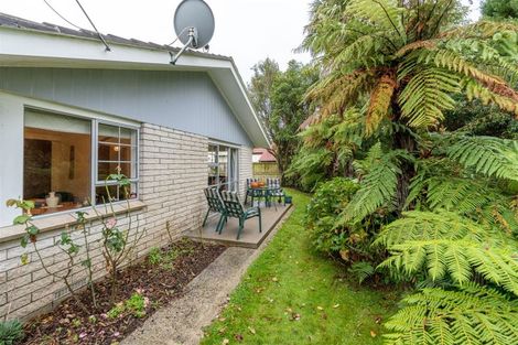 Photo of property in 117b Clarkin Road, Fairfield, Hamilton, 3214