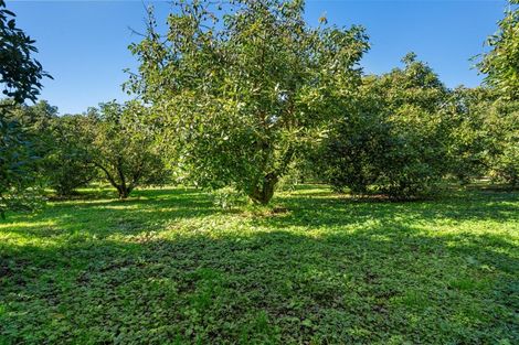 Photo of property in 204a No 2 Road, Te Puke, 3182