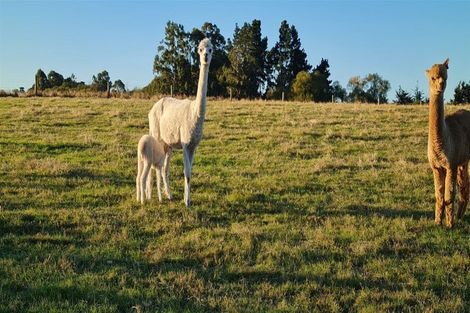 Photo of property in 7 Skevington Lane, Sefton, Rangiora, 7477