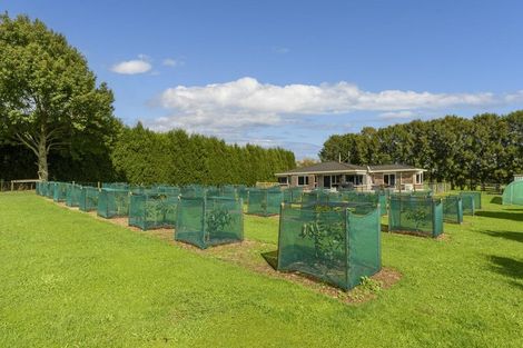 Photo of property in 400 Mclaren Falls Road, Omanawa, Tauranga, 3171