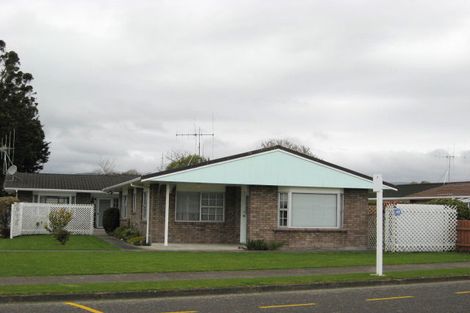Photo of property in 58 Rugby Street, Levin, 5510