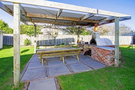 Photo of property in 31 Daniell Street, Solway, Masterton, 5810