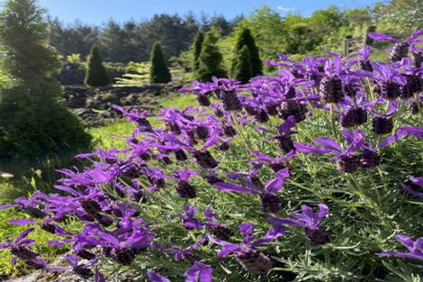 Photo of property in 35 Davis Strongman Place, Kerikeri, 0293