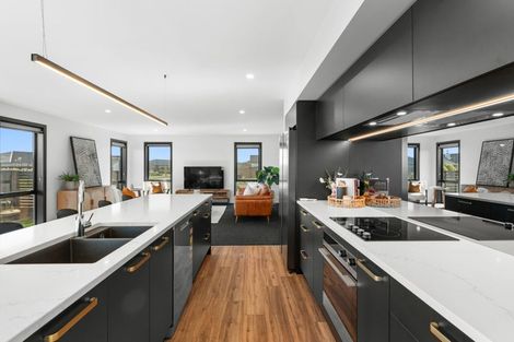 Photo of property in 41 Papatahora Drive, Lincoln, 7608