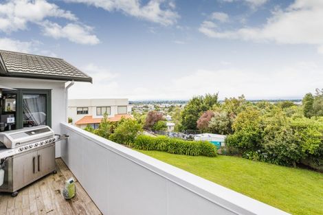 Photo of property in 15 Woodland Grove, Feilding, 4702