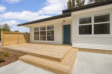 Photo of property in 5a George Street, Waihi, 3610