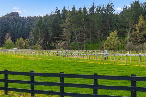 Photo of property in 184 Butcher Road, Reporoa, 3083