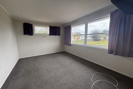 Photo of property in 17 Stuckey Street, Levin, 5510