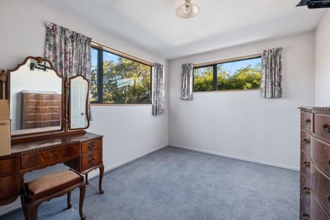 Photo of property in 22a Clutha Street, Alexandra, 9320