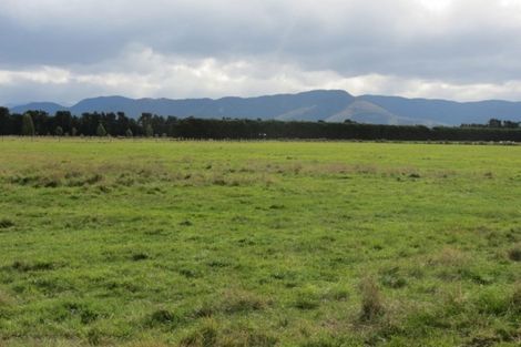 Photo of property in 120 Glews Road, Cust, Rangiora, 7471