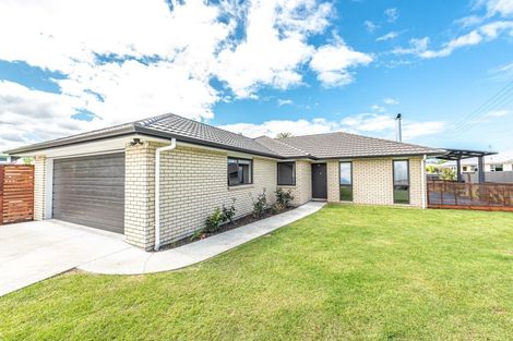 Photo of property in 19 Poynter Place, Gonville, Whanganui, 4501