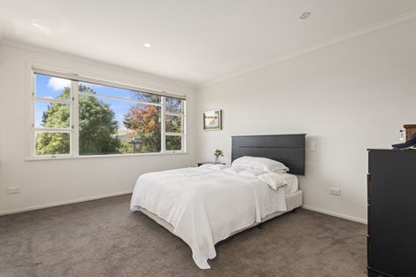 Photo of property in 187 The Terrace, Ashhurst, 4810