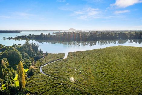 Photo of property in 224 Plummers Point Road, Whakamarama, Tauranga, 3172