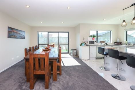 Photo of property in 17 Ladeira Place, Fitzroy, Hamilton, 3206