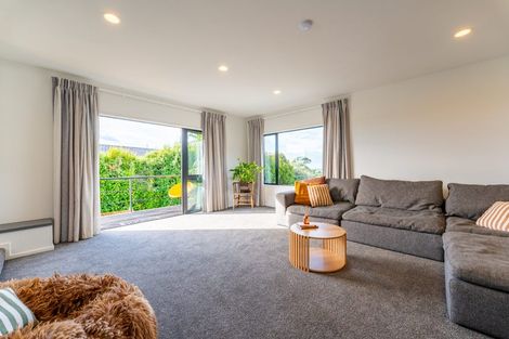 Photo of property in 17 Darby Street, Geraldine, 7930