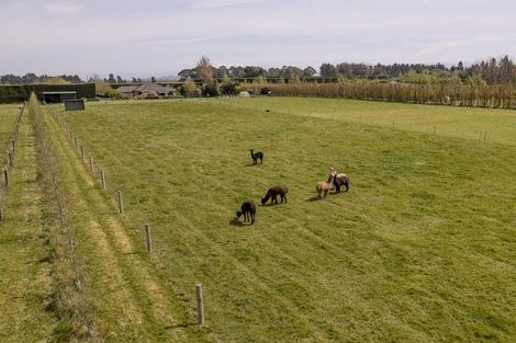 Photo of property in 1630 Clintons Road, Darfield, 7571