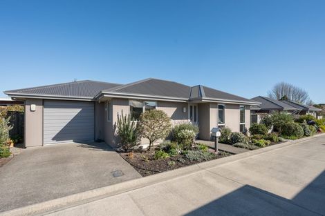 Photo of property in 4 Holly Way, Tahunanui, Nelson, 7011