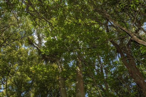 Photo of property in 36 Goodall Road, Whakamarama, Tauranga, 3179