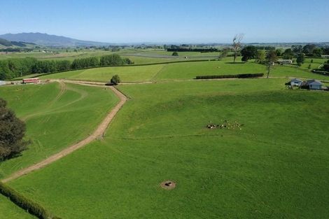 Photo of property in 210 Cruickshank Road, Tokanui, Te Awamutu, 3875